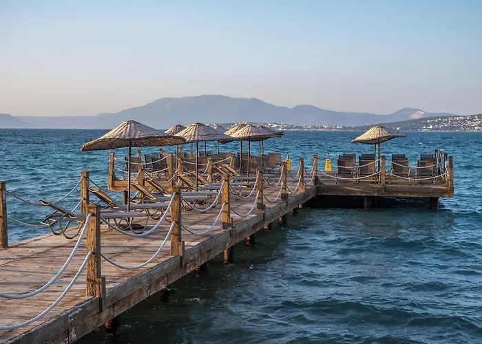 Nars Ilica Adults Only 12plus ホテル